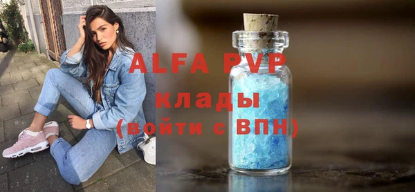 стафф Алзамай