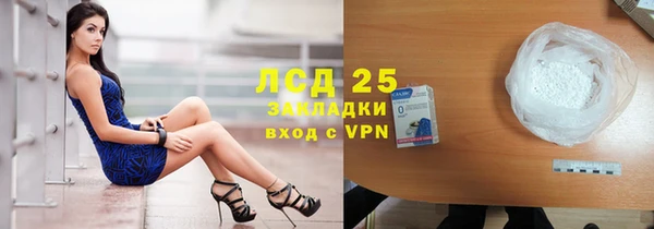 индика Алексеевка