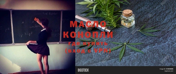дмт Алексин