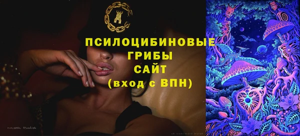 индика Алексеевка