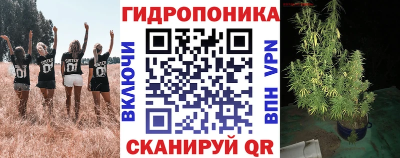 KRAKEN зеркало  Фёдоровский  Конопля тримм 